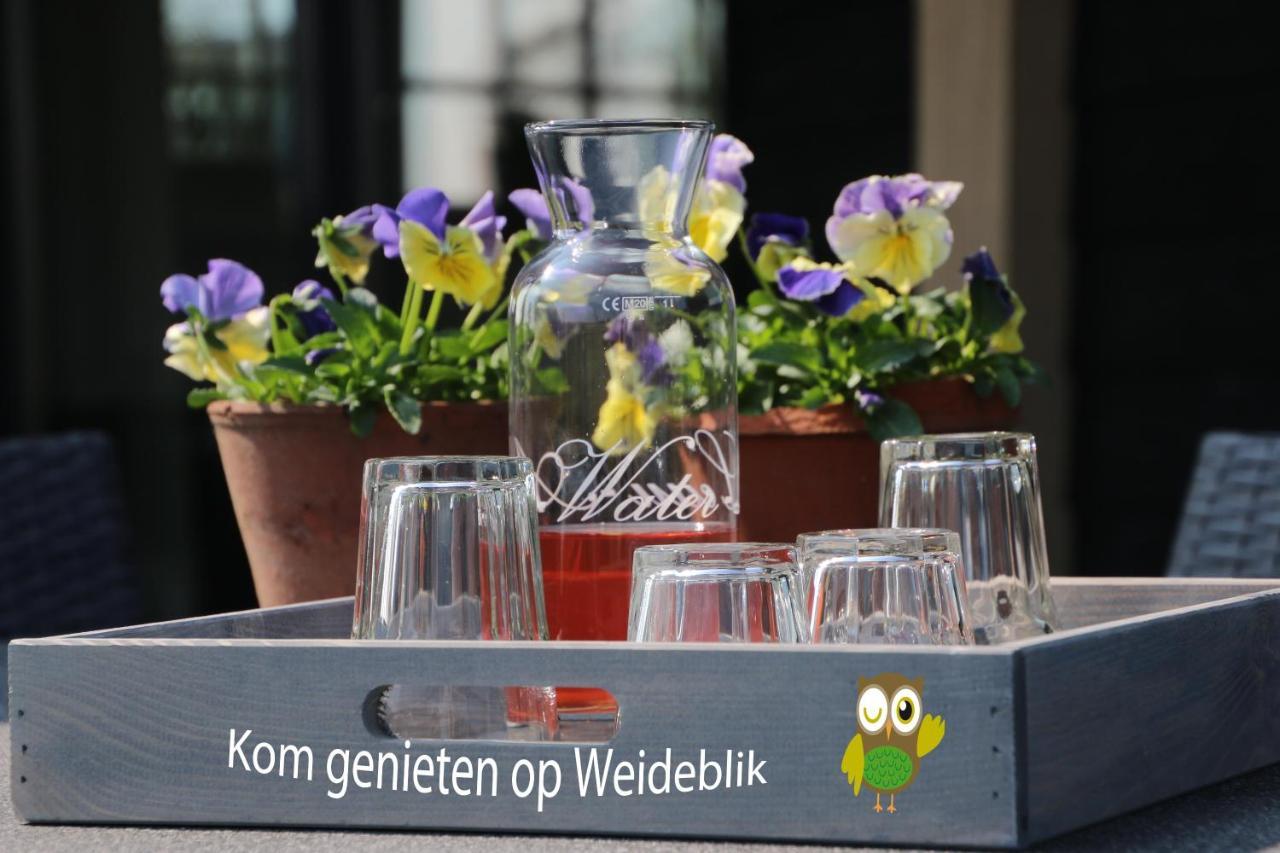 Vakantiehuis Weideblik Biezenmortel Extérieur photo