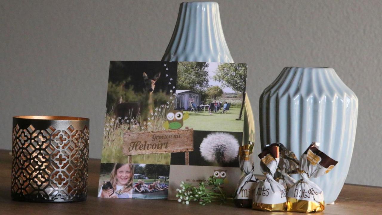 Vakantiehuis Weideblik Biezenmortel Extérieur photo