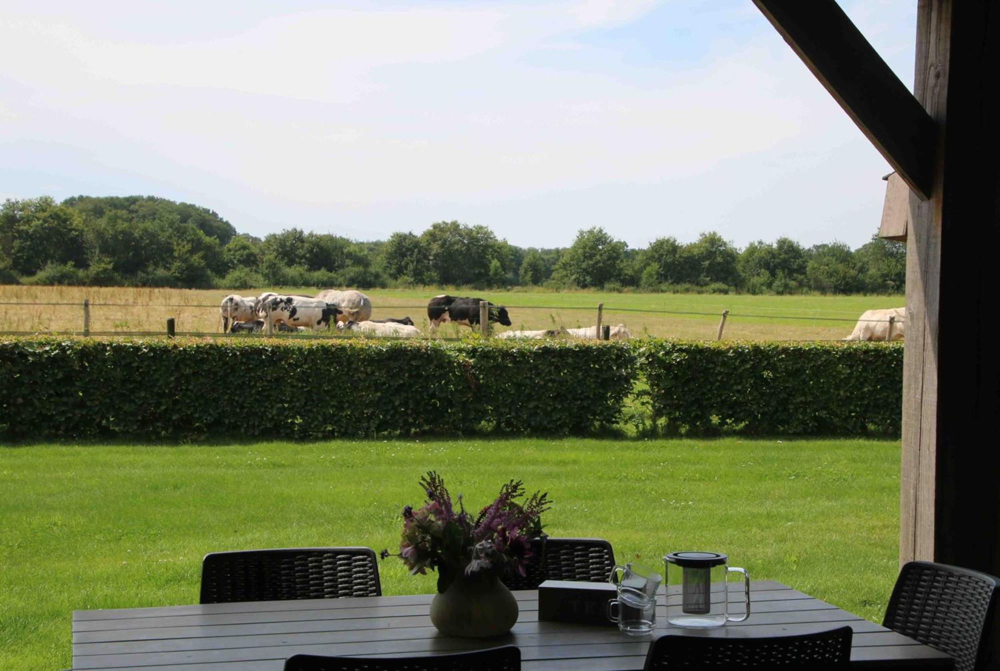 Vakantiehuis Weideblik Biezenmortel Extérieur photo